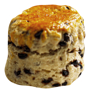 Chocolate Chip Scone